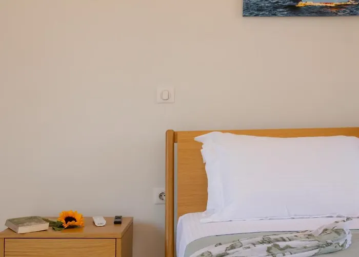 Vakantiehuis Ionea House
